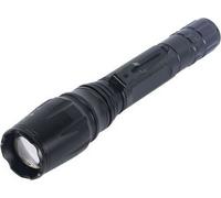TM Electron TMTOR009 lampe de poche LED de haute qualité avec 7 modes