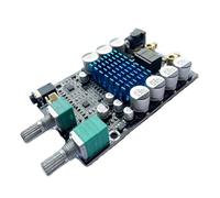 Tmboryuu Carte d ' amplificateur de Caisson de Basses numérique 3116, équipée d ' Un Module numérique de Taille compacte et de qualité sonore supérieure