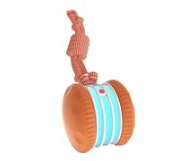 Tmboryuu Jouet auto-teasant pour chien avec effet de cognement d'oiseaux pour soulager l'ennui - Corde à tirer - Balle à rouler automatique pour animaux de compagnie - Jouet pour chat avec son