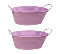 Tmboryuu Lot de 2 pots de fleurs en métal résistant à la rouille pour intérieur et extérieur pour plantes grasses, petites fleurs