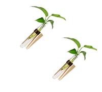 Tmboryuu Lot de 2 Tubes de Propagation muraux avec en Bois et Sangle en Cuir PU pour hydroponiques, de Place, décorations de Jardin Verticales, Affichage de vases muraux, Affichage de en