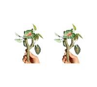 Tmboryuu Lot de 2 vignes grimpantes en Plastique pour Reptiles, crabes ermites, à crête, terrariums d ' Aquarium, décorations d ' amélioration de l ' Habitat, décoration de terrariums