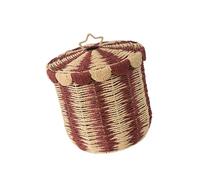Tmboryuu Panier de rangement en corde de papier ventilé avec couvercle, panier multifonction parfait pour organiser divers articles, organiseurs de linge conviviaux