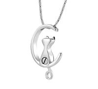 Tmboryuu Pendentif commémoratif en acier inoxydable poli pour animaux de compagnie avec un design inspiré des lunes, conçu pour stocker les cendres d ' animaux ou un de perte de cheveux pour de