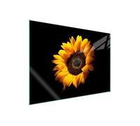 TMK ArtDeko Cache-plaque de cuisson 70 x 52 cm - 1 pièce - Protection contre les éclaboussures - Planche à découper - fleur