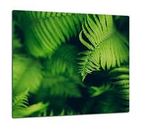 TMK Crédence de cuisine en verre trempé 65 x 60 cm - Verre décoratif avec bande adhésive - Panneau arrière en verre pour cuisine, plantes