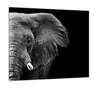 TMK I Crédence de cuisine en verre trempé 65 x 60 cm - Verre décoratif avec ruban adhésif - Paroi arrière en verre pour cuisine, éléphant noir