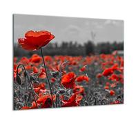 TMK Plaque de recouvrement, 60 x 52 cm, en verre, décorative, pour cuisinières électriques, à induction, anti-éclaboussures, planche à découper, rouge, fleur