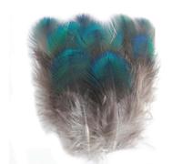TMTGTS Lot de 24 plumes décoratives de 4 à 8 cm - Plumes de paon - Plumes décoratives - Plumes de queue de paon - Plumes d'oiseaux - Pour boucles d'oreilles, attrape-rêves, artisanat, fabrication de