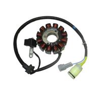 Tmuare 12 bobines Magneto Stator pour moto tout-terrain ZongShen NC250 NC450 250cc 450cc
