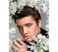 TMXON Kit de peinture diamant 5D à faire soi-même Elvis Drill Cristal Broderie Strass Art pour adultes Enfants Maison Détente Décoration murale Cadeau 30x40CM