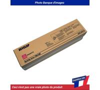 TN-613M Develop ineo +552 Toner Magenta