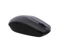T'nB MS2UW souris