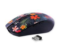 T'nB - Souris sans Fil Design, Double Mode Bluetooth et USB-A, Rechargeable Haute Autonomie, Silencieuse, Précision 1600 DPI, 6 Boutons, Compatible Windows, Linus et MacOs - Modèle Amazonia