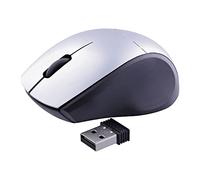 T'nB - Souris sans Fil Mini Miny, Ultra Compacte, Connexion USB par Dongle, Plug & Play sans Installation, Veille Automatique, Alimentation À Pile AAA Incluse, Confort D'utilisation - Gris