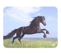 T'nB - Tapis de souris - Illustrated - horses Illustré G