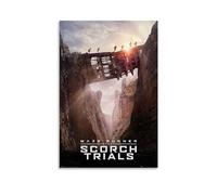 TNERPAR Maze Runner 2 The Scorch Trials Poster décoratif sur toile pour salon, chambre à coucher, art mural, impression photo, moderne, décoration de salle familiale, 30 x 45 cm
