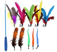 Tnfeeon 11 Pack Cat Feather Wand Teaser Rétractable, Les Jouets Interactifs pour Chats pour Chasser, Flexibles et Légers, Est livré avec 10 PCS Plumes et 1 de 1 pc. Perfection de Chat, Avantage