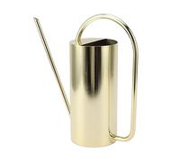 Tnfeeon Arrosoir pour Plantes d'Intérieur et d'Extérieur en Acier Inoxydable, 1.5L à Long Bec, Design Élégant et Robuste pour Un Arrosage Précis - Doré