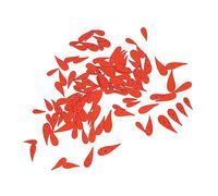 Tnfeeon Boutons Carotte Orange 100 Pièces Boutons Artisanaux en Bois avec 2 Trous Assortiment de 4 Tailles pour DIY Couture Décorations de Noël et Embellissements Cadeaux (#2)