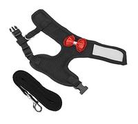 Tnfeeon Harnais de Poulet, Maille Réglable et Respirante pour Une Marche en Plein Air en Toute sécurité avec des Poulets de Compagnie, Durable et Léger pour Les Parcs, Les Jardins et Les Séances