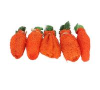 Tnfeeon Jouets de Carotte de Luffa de Lapin, Jouets à Mâcher pour Le Grincement des Dents, Friandises Naturelles de Lapin de Luffa et de Hamster, à Mâcher Amusant pour Les Petits Animaux de