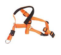 Tnfeeon Le Faisceau de Câblage Durable du Chien en Nylon avec Une Courroie Réglable, Recouvert du Chien Respirant pour Le Contrôle de la sécurité, Préparation d'animaux (L)