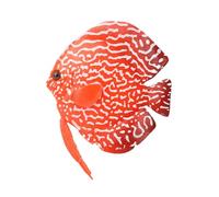 Tnfeeon Poisson de Simulation Lumineux, Silicone coloré Flottant Poissons tropicaux Aquarium décoration Aquarium Ornement(01#)