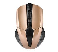 Tnfeeon Souris sans Fil, 2.4G Souris sans Fil Souris Optique Souris DPI réglable récepteur USB Souris Portable pour PC/Tablette Bureau de Jeu