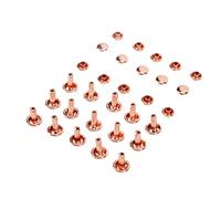 Tnfeeon Vis Rivets, Goujons Métalliques pour Projets de Bricolage, Fer Haute dureté, 100 Ensembles pour Sacs, Porte-clés et Artisanat du Cuir (fer 2)