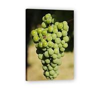 TNGHHSGA A l'air sucré Fruit du Monde & Paysage Photo Naturel sur Toile - Art de Maison pour Salon et Salle à Manger 70x105cm Encadrée