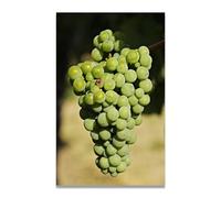 TNGHHSGA A l'air sucré Fruit du Monde & Paysage Photo Naturel sur Toile - Art de Maison pour Salon et Salle à Manger 70x105cm Sans cadre