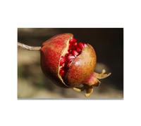 TNGHHSGA Accepter Tout Ce Qui Arrive Fruit Frais & Paysage Photo Réelle - Toile Imprimée Dynamique pour Décoration Murale 60x90cm Sans cadre