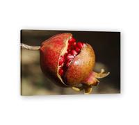 TNGHHSGA Accepter Tout Ce Qui Arrive Fruit Frais & Paysage Photo Réelle - Toile Imprimée Dynamique pour Décoration Murale 40x60cm Encadrée
