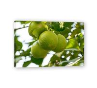 TNGHHSGA ConnaîTre La Douceur AmèRe Fruit Frais & Paysage Photo Réelle - Toile Imprimée Dynamique pour Décoration Murale 30x45cm Encadrée