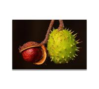 TNGHHSGA ExpéRience De Croissance Fruit Frais & Paysage Photo Réelle - Toile Imprimée Dynamique pour Décoration Murale 50x75cm Sans cadre