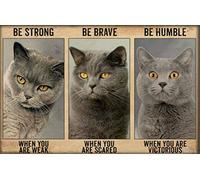 TNND British Shorthair Poster en métal pour amoureux des chats Inscription Be Strong When You Are Weak 20,3 x 30,5 cm
