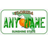 TNND Plaque d’immatriculation Floride personnalisée en métal Style Miami 15,2 x 30,5 cm