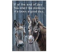 TNND Plaque murale vintage en métal avec inscription « You Smell Like Donkeys » - 20,3 x 30,5 cm