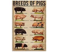 TNND Poster vintage en métal - Motif races de cochons - Décoration murale - Décoration d'intérieur - Fête des pères - Cadeau d'anniversaire - 30,5 x 40,6 cm