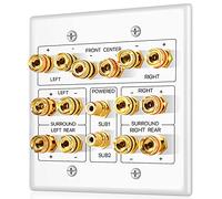 TNP Panneau de Distribution multicanal Prise de Plaque Murale de Haut-Parleur de cinéma Maison coupleur de borne de Liaison en cuivre plaqué Or-7.2 7.1, 2 Prises d'entrée RCA LFE