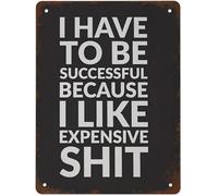 TNRYHTA Plaque en métal vintage « I Have To Be Successful Because I Like Expensive Things Feminine » - Décoration murale en aluminium - Décoration murale amusante pour la maison, la ferme, le club