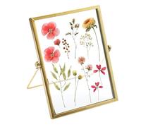 TNSLAND 15 x 20cm Cadre Doré pour Fleurs Pressées, Cadre Photo Doré Debout, Cadre Transparent Cadre Photo Verre, Cadre Double Face pour Fleurs Séchées, Peintures, Photos