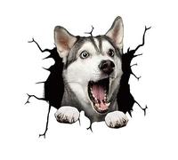 TNSRAY Chien Autocollants De Voiture, Autocollant De Voiture De Chien Autocollants De Voiture DrôLe Personnalisé Autocollant De Voiture 3D Car Stickers Muraux Capot Voiture Sticker