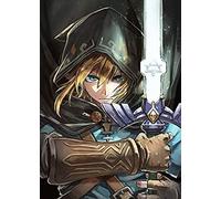 TNXEV Kit de peinture diamant 5D à faire soi-même, broderie diamant ronde en résine The Legend of Zelda, décoration d'intérieur, cadeau 40 x 50 cm