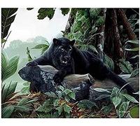 TNXEV Kit de peinture diamant 5D à faire soi-même, peinture diamant à forage complet, panthère noire, strass en cristal, broderie au point de croix, art diamant pour adulte, 30 x 40 cm