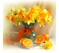 TNXEV Kit de peinture diamant 5D jonquille orange, kit de broderie diamant au point de croix, broderie complète en strass pour décoration murale de la maison, 40 x 50 cm