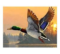 TNXEV Kits de peinture diamant 5D Canard colvert volant Canard sauvage Perceuse complète Perles rondes Art diamant Pierres précieuses Kits de bricolage Décoration murale Ches 40x50cm