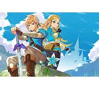 TNXEV Kits de peinture diamant 5D pour adultes et enfants The Legend of Zelda I Kits de peinture par numéro à forage complet pour décoration murale de la maison 30x40cm