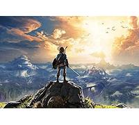 TNXEV Peinture diamant 5D dessin animé The Legend of Zelda Breath of The Wild, tableau mural, impression artistique, paysage, décoration murale pour la maison, 50 x 60 cm